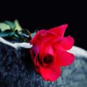 Can I Sue for Wrongful Death Due to Negligent Security in Mississippi?