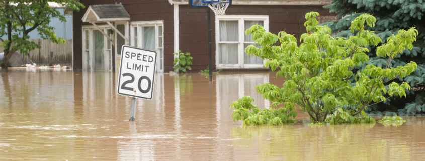 What to Do If Your Residential Hurricane Insurance Claim Was Denied in Mississippi